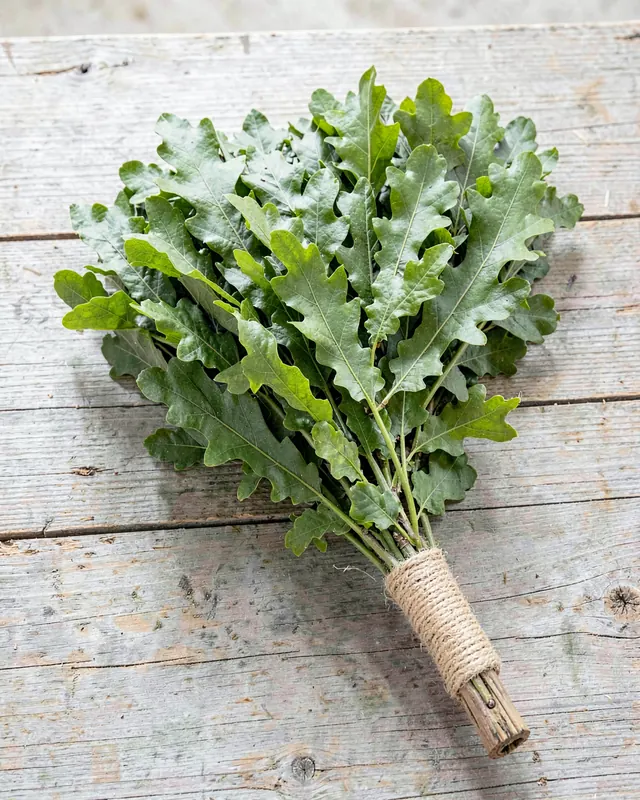Дубовый «Брянский Легкий. Профи»